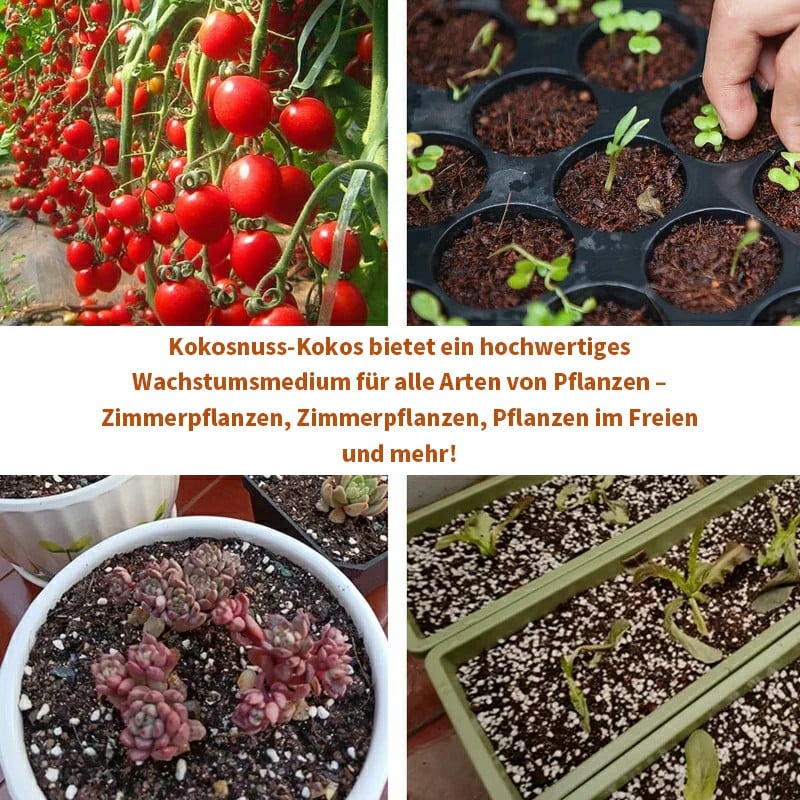 🔥🔥HEUTIGES SONDERANGEBOT⏰ Organische Kokosnussschalen für Pflanzen🥥🌱