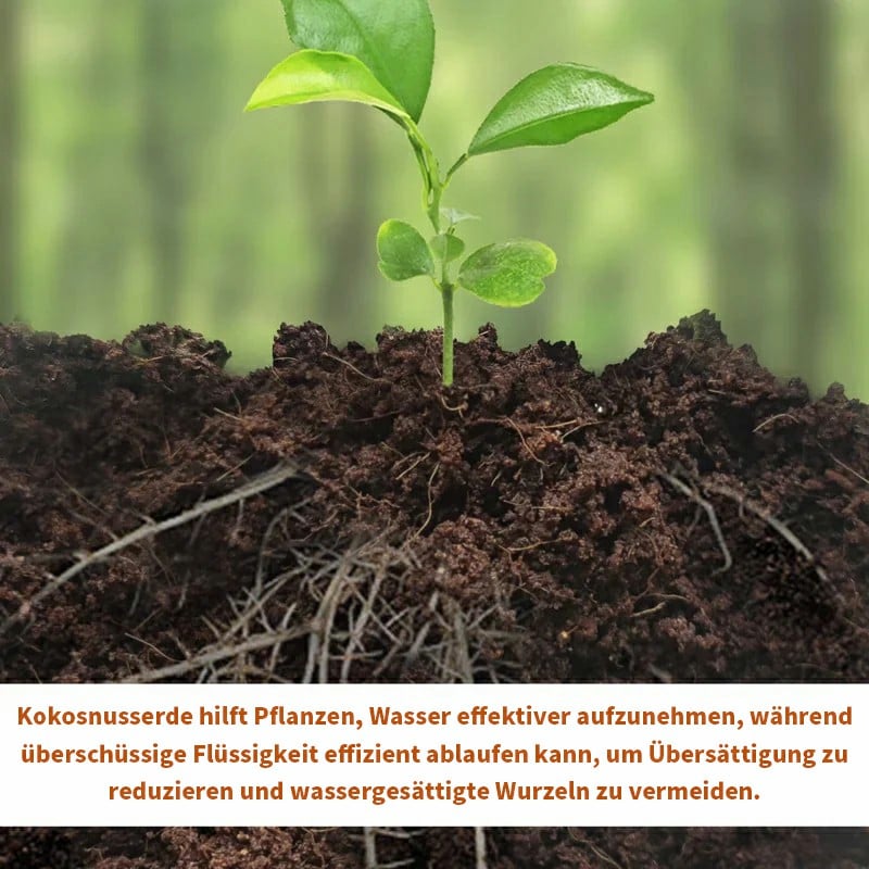 🔥🔥HEUTIGES SONDERANGEBOT⏰ Organische Kokosnussschalen für Pflanzen🥥🌱