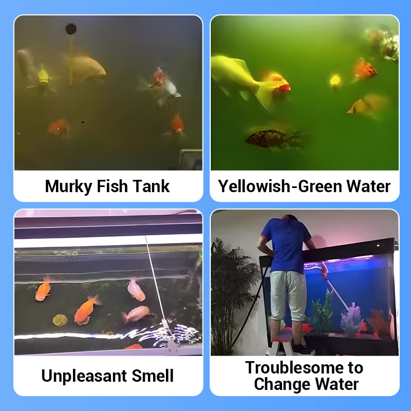 🌿Leistungsstarke Tablette zur Reinigung von Aquarienwasser