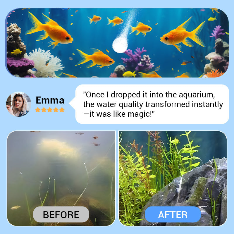 🌿Leistungsstarke Tablette zur Reinigung von Aquarienwasser