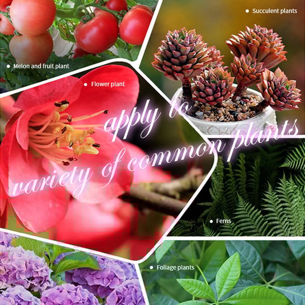 🔥2025 Blumen glücklich machen – ganz ohne Aufwand!Bio-Dünger Tabletten | Langzeitwirkung für üppige Pflanzen | 50% Rabatt 🌱