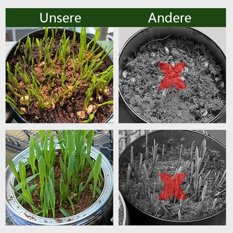 🔥🔥HEUTIGES SONDERANGEBOT⏰ Organische Kokosnussschalen für Pflanzen🥥🌱