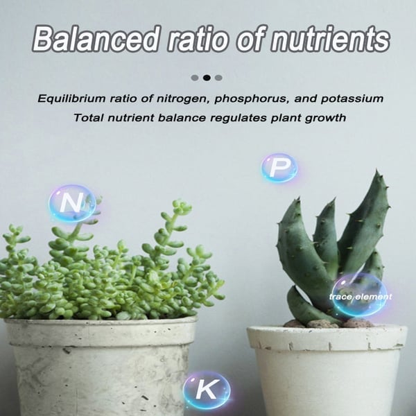 🔥2025 Blumen glücklich machen – ganz ohne Aufwand!Bio-Dünger Tabletten | Langzeitwirkung für üppige Pflanzen | 50% Rabatt 🌱