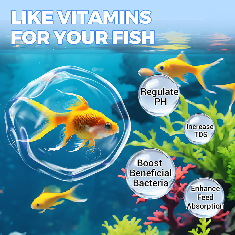 🌿Leistungsstarke Tablette zur Reinigung von Aquarienwasser
