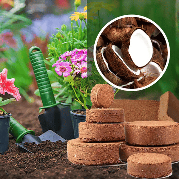 🔥🔥HEUTIGES SONDERANGEBOT⏰ Organische Kokosnussschalen für Pflanzen🥥🌱
