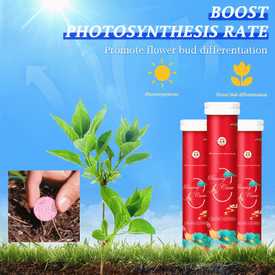 🔥2025 Blumen glücklich machen – ganz ohne Aufwand!Bio-Dünger Tabletten | Langzeitwirkung für üppige Pflanzen | 50% Rabatt 🌱