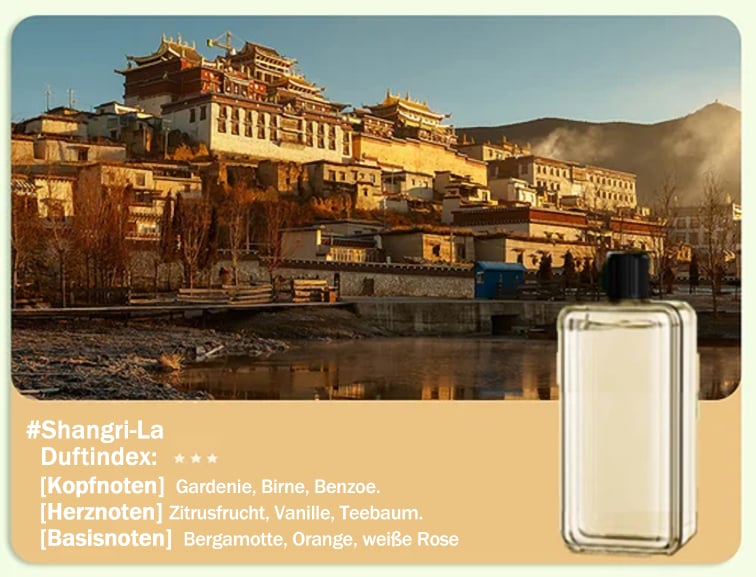 🔥🌸Limit 50% Rabatt 🔥Automatischer Aromatherapie Diffusor(Großes Angebot)
