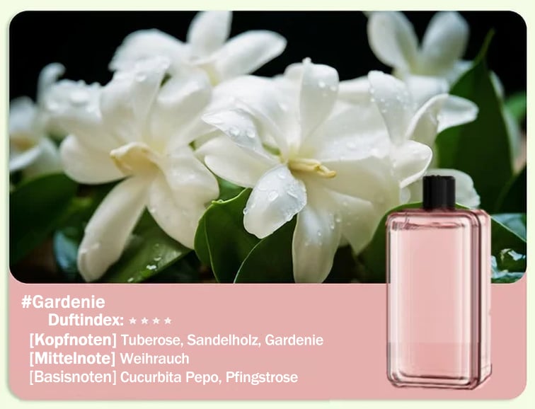 🔥🌸Limit 50% Rabatt 🔥Automatischer Aromatherapie Diffusor(Großes Angebot)