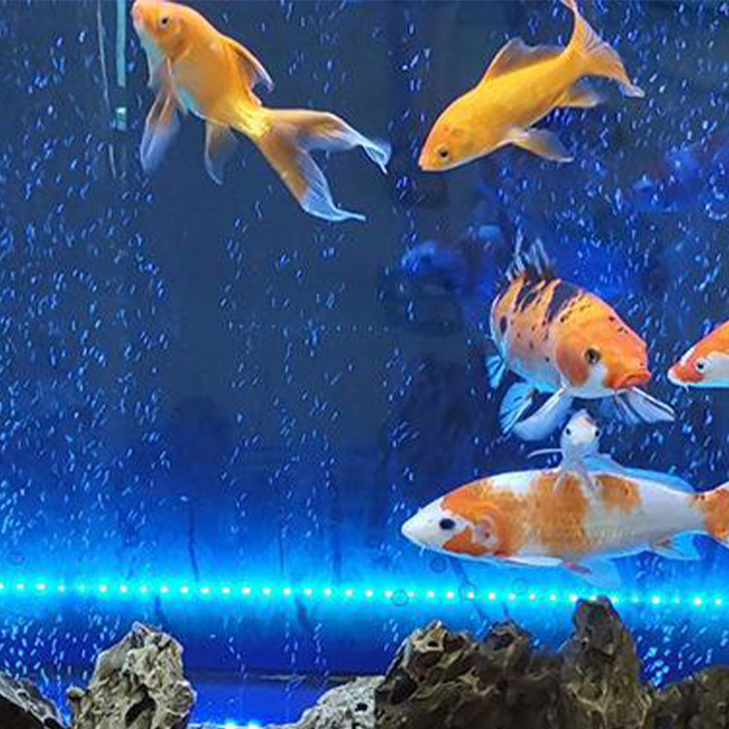 🐟LED Aquarium Buntes Luftblasenlicht