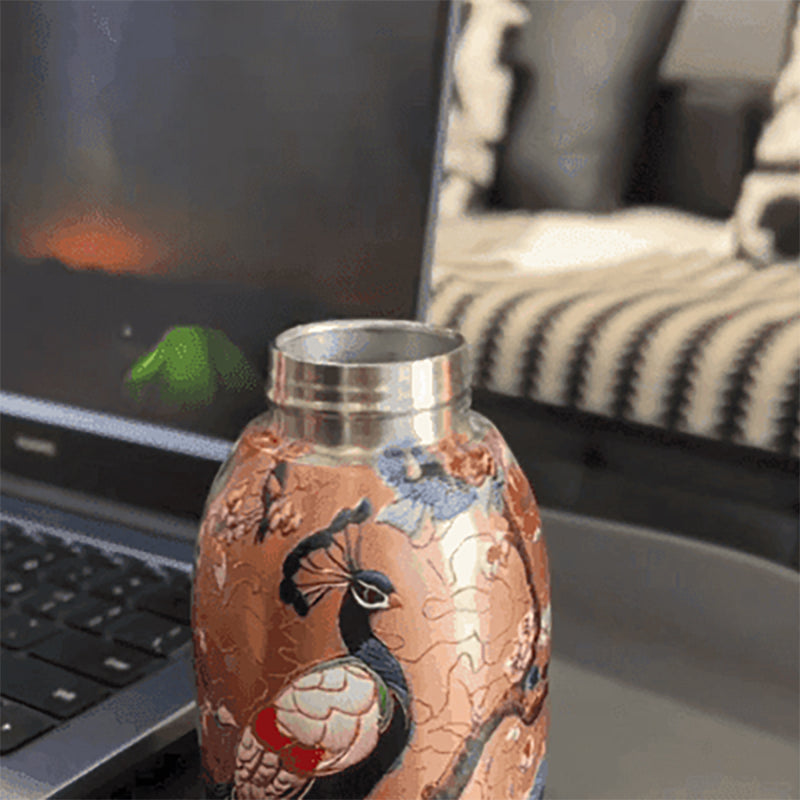 Stilvolle & tragbare isolierte Wasserflasche🔥