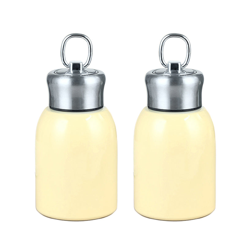 Stilvolle & tragbare isolierte Wasserflasche🔥