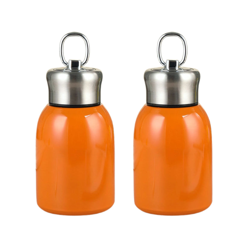 Stilvolle & tragbare isolierte Wasserflasche🔥
