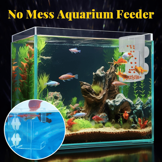 Aquarium Futterring und Tablett(Geben Sie den Fischen einen sauberen Lebensraum)