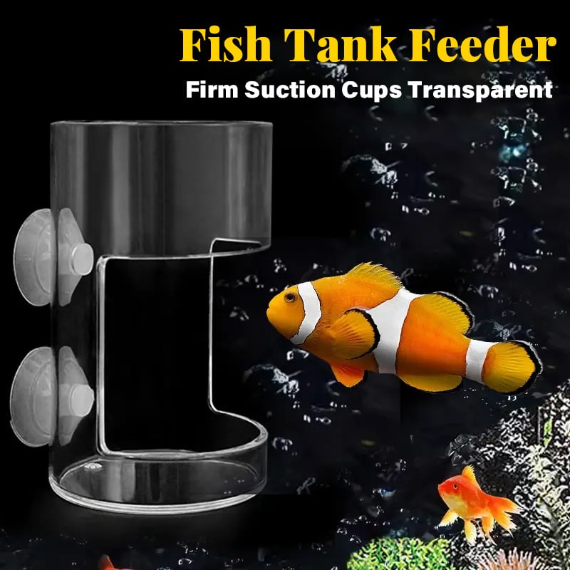Aquarium Futterring und Tablett(Geben Sie den Fischen einen sauberen Lebensraum)