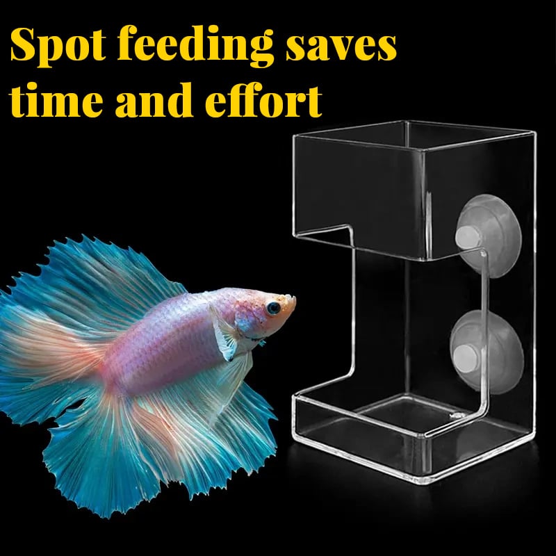 Aquarium Futterring und Tablett(Geben Sie den Fischen einen sauberen Lebensraum)