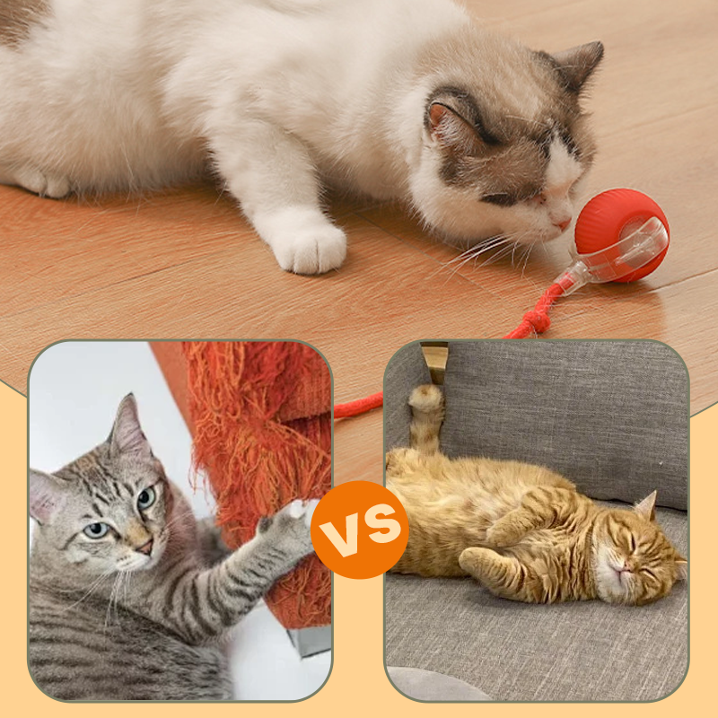 🔥Intelligent Chirping Rolling Interactive Cat Toy Ball