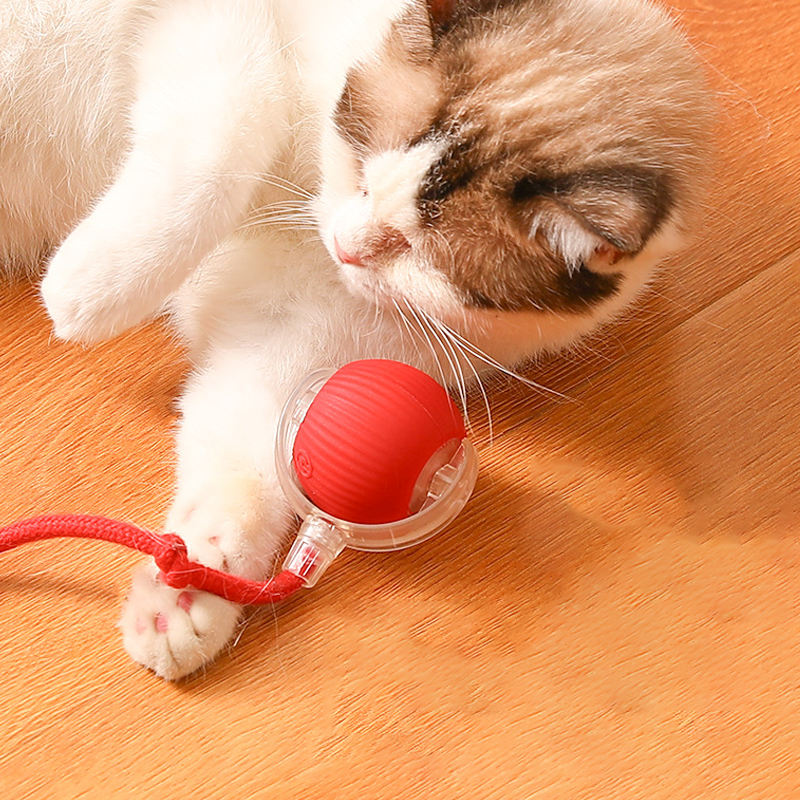 🔥Intelligent Chirping Rolling Interactive Cat Toy Ball