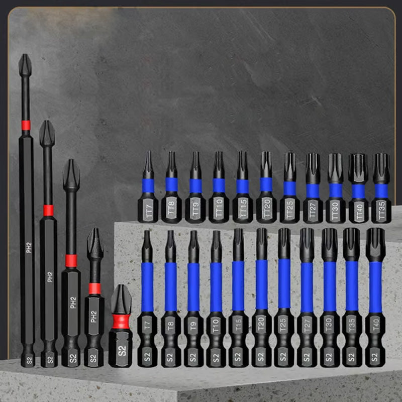 𧲠Magnetischer Schraubendreher-Set mit Phillips & Torx â 15-teilig | Robuste Bits + Schnellwechsel-System âĄ