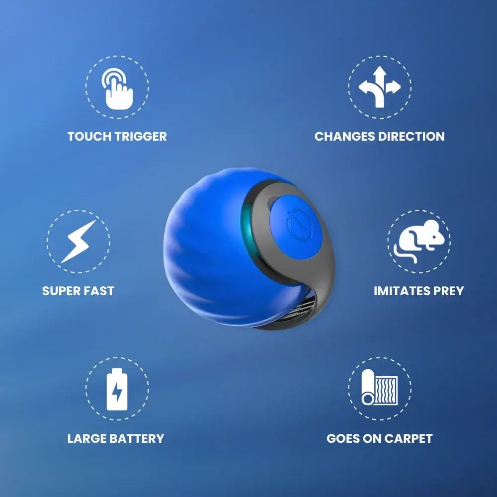 SPEEDY TAIL 2.0🔥Der neue König unter interaktiven Ball-Spielzeugen für Katzen🔥