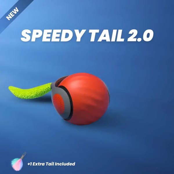 SPEEDY TAIL 2.0🔥Der neue König unter interaktiven Ball-Spielzeugen für Katzen🔥