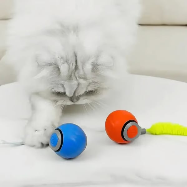 SPEEDY TAIL 2.0🔥Der neue König unter interaktiven Ball-Spielzeugen für Katzen🔥