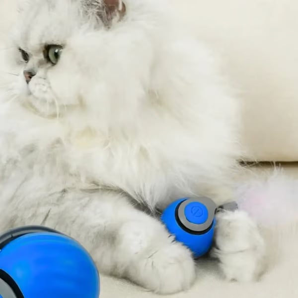 SPEEDY TAIL 2.0🔥Der neue König unter interaktiven Ball-Spielzeugen für Katzen🔥