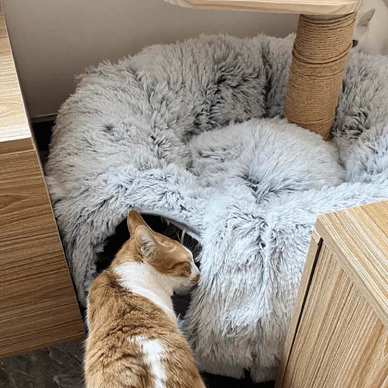 🐱2-in-1 faltbares Indoor-Soft-Rund-Katzenhöhlbett💎50 % Rabatt💎