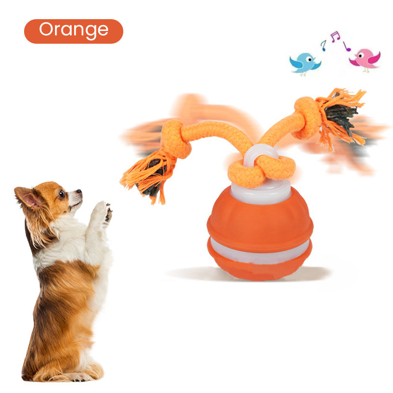 ⚡55 % RABATT !!⚡Interactive Rolling Cat Ball with Bird Sounds