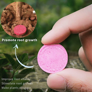 🔥2025 Blumen glücklich machen – ganz ohne Aufwand!Bio-Dünger Tabletten | Langzeitwirkung für üppige Pflanzen | 50% Rabatt 🌱
