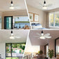 🍃 Intelligenter Deckenventilator mit Licht, RGB-Beleuchtung und Bluetooth-Lautsprecher♨️❄️