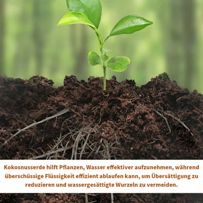 🔥🔥HEUTIGES SONDERANGEBOT⏰ Organische Kokosnussschalen für Pflanzen🥥🌱