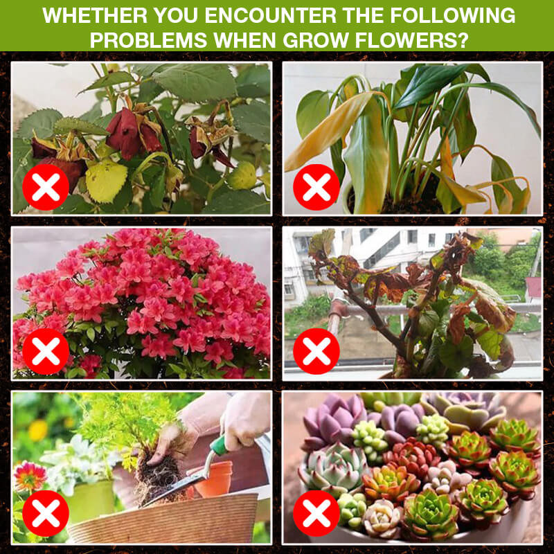 🌿💧 Pflanzennahrung Bio-Wachstumsbooster 🌱  flüssiger Dünger für alle Pflanzen⚡