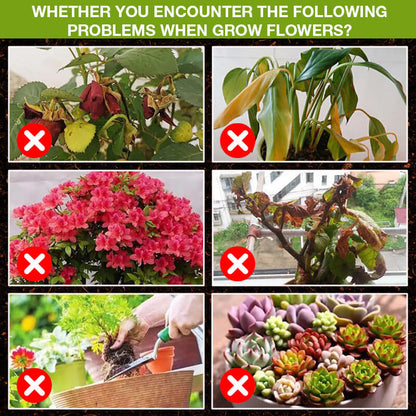 🌿💧 Pflanzennahrung Bio-Wachstumsbooster 🌱  flüssiger Dünger für alle Pflanzen⚡