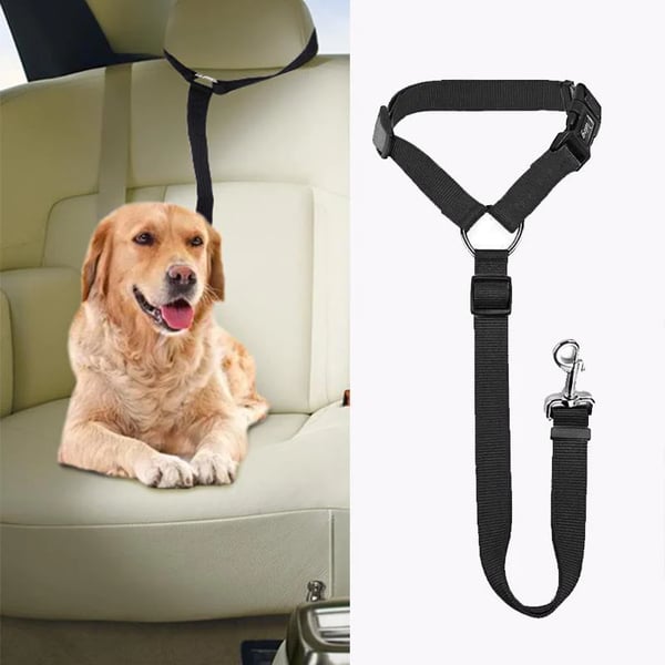 Auto-Hundeleine – einstellbar & sicher – perfekt für unterwegs🐶🚗