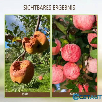 🌿kauf 3 bekomm 3 gratis🌿💪 ECOCERT-zertifizierter Bodenaktivator – Stärkt Ihren Boden, fördert üppiges Wachstum mühelos! 🌼✅