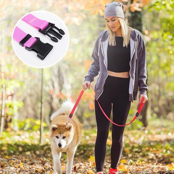 Auto-Hundeleine – einstellbar & sicher – perfekt für unterwegs🐶🚗