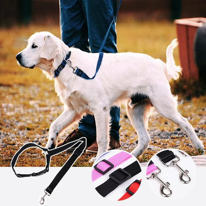 Auto-Hundeleine – einstellbar & sicher – perfekt für unterwegs🐶🚗