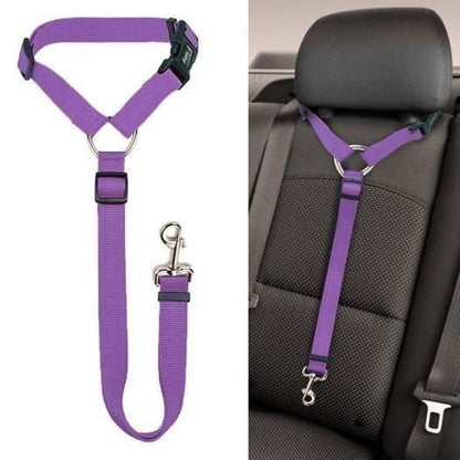 Auto-Hundeleine – einstellbar & sicher – perfekt für unterwegs🐶🚗