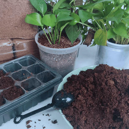 🔥🔥HEUTIGES SONDERANGEBOT⏰ Organische Kokosnussschalen für Pflanzen🥥🌱