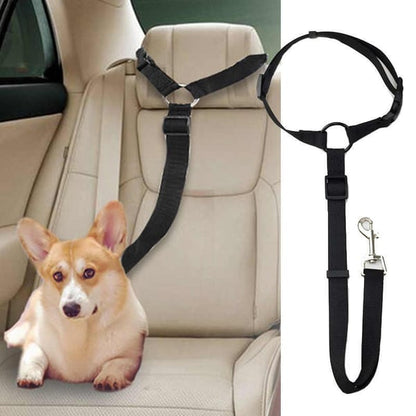 Auto-Hundeleine – einstellbar & sicher – perfekt für unterwegs🐶🚗