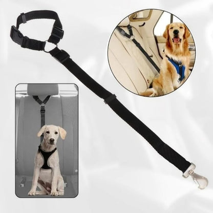 Auto-Hundeleine – einstellbar & sicher – perfekt für unterwegs🐶🚗