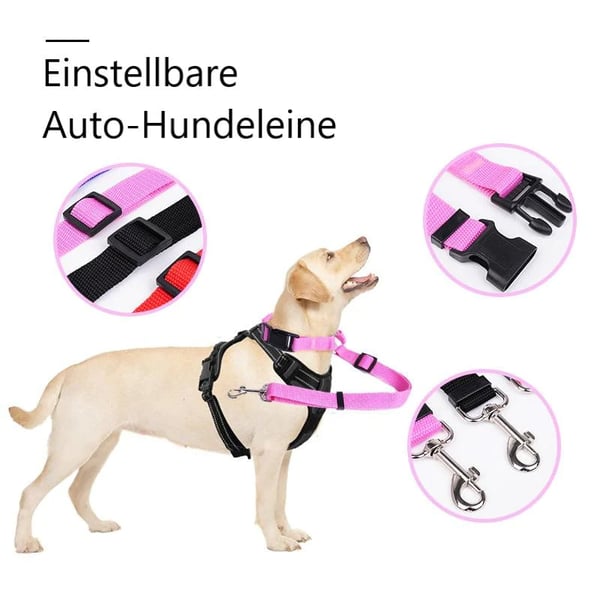Auto-Hundeleine – einstellbar & sicher – perfekt für unterwegs🐶🚗