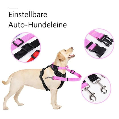 Auto-Hundeleine – einstellbar & sicher – perfekt für unterwegs🐶🚗