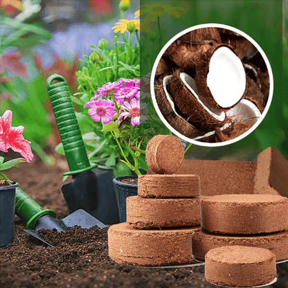 🔥🔥HEUTIGES SONDERANGEBOT⏰ Organische Kokosnussschalen für Pflanzen🥥🌱