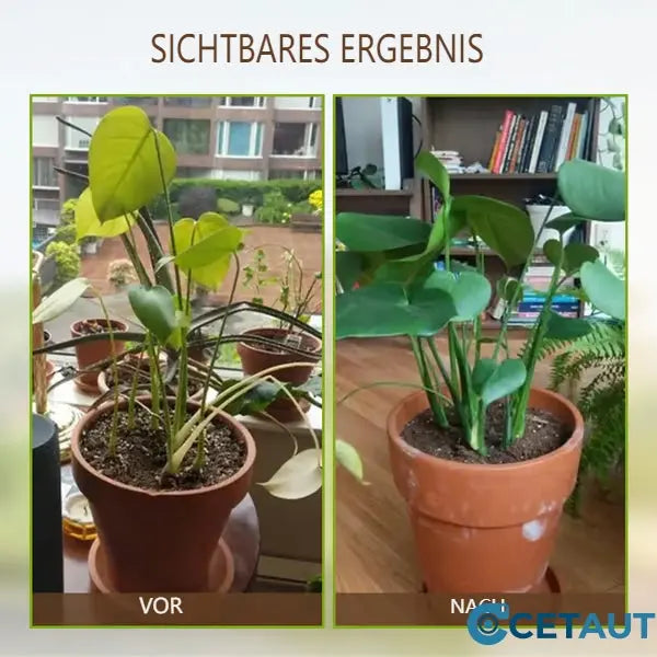 🌿kauf 3 bekomm 3 gratis🌿💪 ECOCERT-zertifizierter Bodenaktivator – Stärkt Ihren Boden, fördert üppiges Wachstum mühelos! 🌼✅