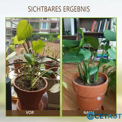 🌿kauf 3 bekomm 3 gratis🌿💪 ECOCERT-zertifizierter Bodenaktivator – Stärkt Ihren Boden, fördert üppiges Wachstum mühelos! 🌼✅