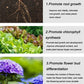 🔥2025 Blumen glücklich machen – ganz ohne Aufwand!Bio-Dünger Tabletten | Langzeitwirkung für üppige Pflanzen | 50% Rabatt 🌱