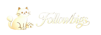followbigs