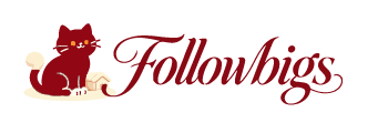 followbigs