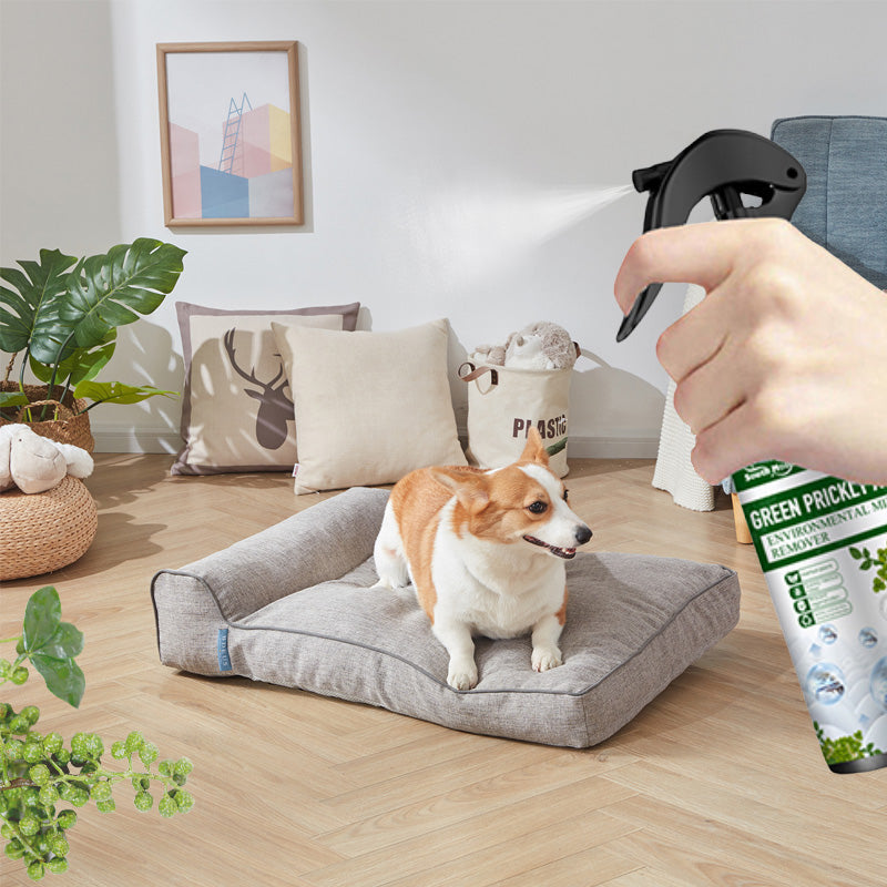 🦠❌Leistungsstarkes Milbenentfernungsspray